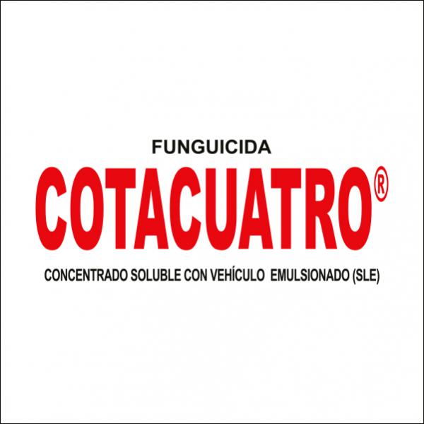 Cotacuatro