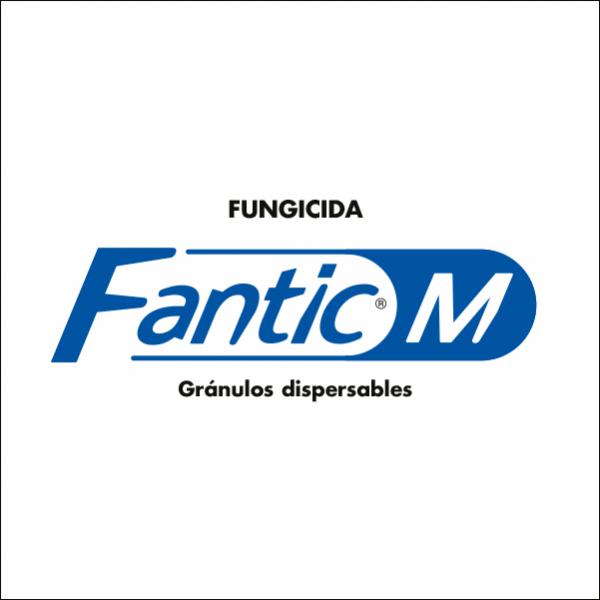 Fantic M