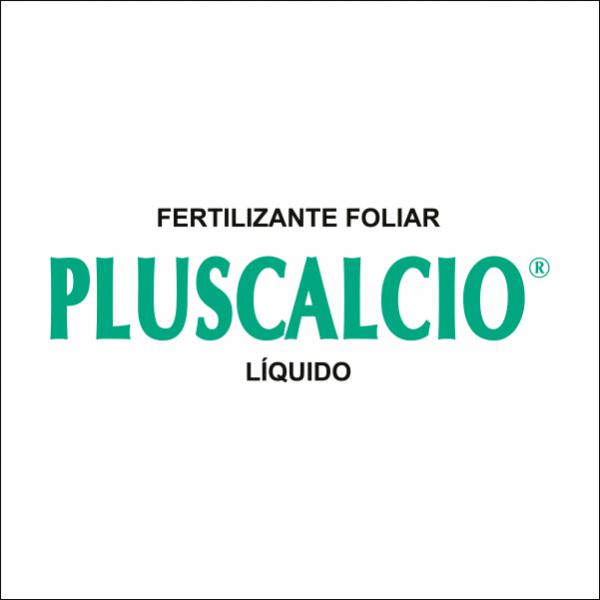 Pluscalcio