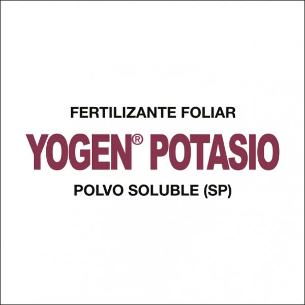 Yogen Potasio